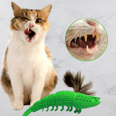 Jouet Interactif Chat - CatnipToys™ - Vert lecoledeschats